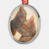 Kutest Baby Animals | Tabby Kitten Kiss Metalen Ornament (Links)