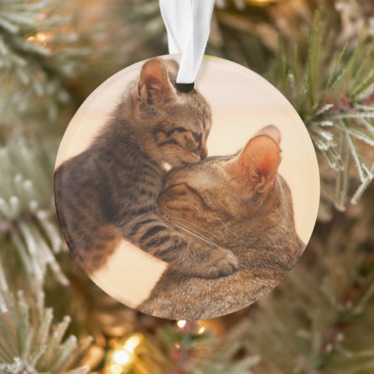 Kutest Baby Animals | Tabby Kitten Kiss Ornament (Boom)
