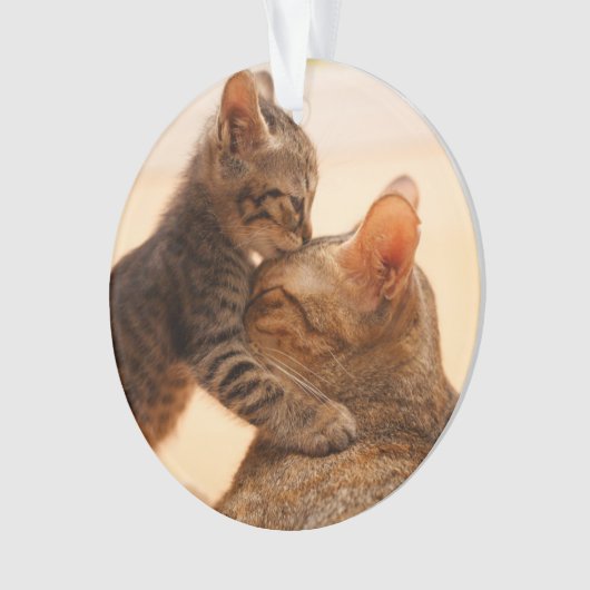 Kutest Baby Animals | Tabby Kitten Kiss Ornament (voorkant)