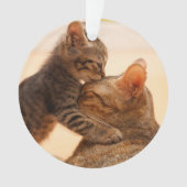 Kutest Baby Animals | Tabby Kitten Kiss Ornament (voorkant)