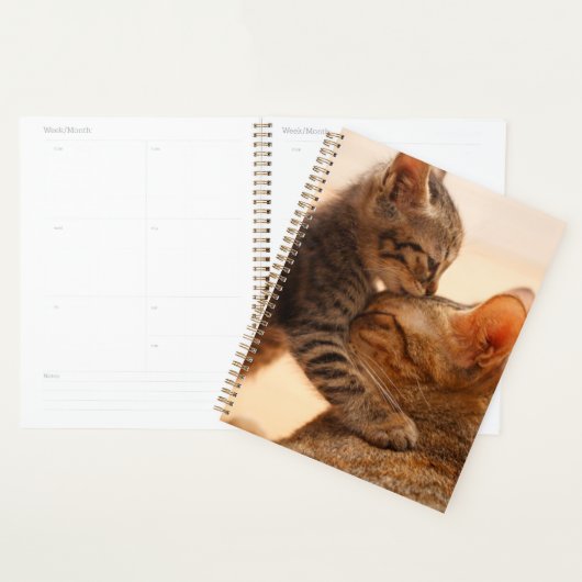 Kutest Baby Animals | Tabby Kitten Kiss Planner (Display)