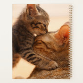 Kutest Baby Animals | Tabby Kitten Kiss Planner (Achterkant)