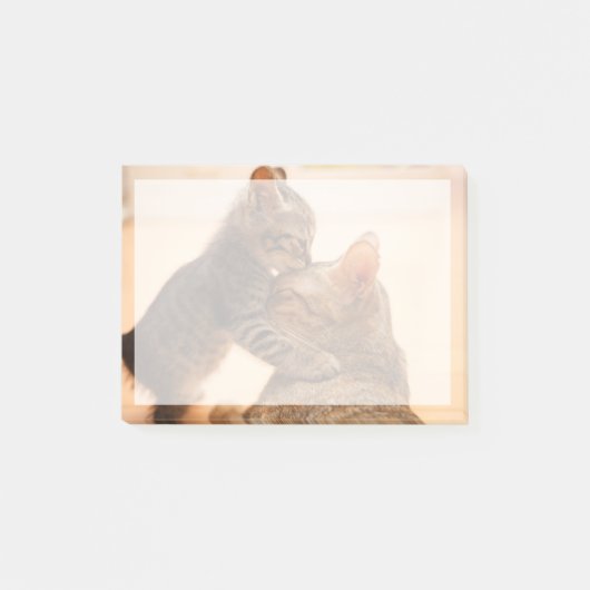 Kutest Baby Animals | Tabby Kitten Kiss Post-it® Notes (Voorkant)