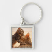 Kutest Baby Animals | Tabby Kitten Kiss Sleutelhanger (Voorkant)