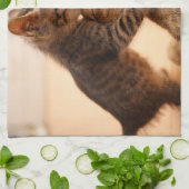 Kutest Baby Animals | Tabby Kitten Kiss Theedoek (Gevouwen)