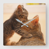 Kutest Baby Animals | Tabby Kitten Kiss Vierkante Klok (Voorkant)