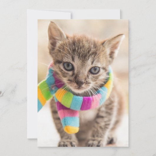 Kutest Baby Animals | Tabby Kitten Rainbow Scarf Bedankkaart (Voorkant)