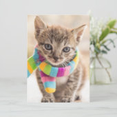 Kutest Baby Animals | Tabby Kitten Rainbow Scarf Bedankkaart (Staand voorkant)