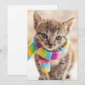 Kutest Baby Animals | Tabby Kitten Rainbow Scarf Bedankkaart (Voorkant / Achterkant)