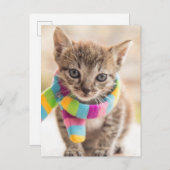 Kutest Baby Animals | Tabby Kitten Rainbow Scarf Briefkaart (Voorkant / Achterkant)