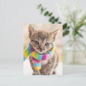 Kutest Baby Animals | Tabby Kitten Rainbow Scarf Briefkaart (Staand voorkant)
