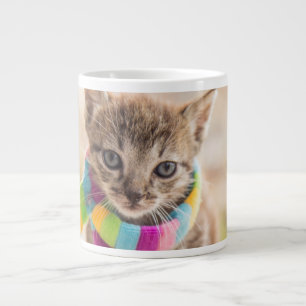 Kutest Baby Animals   Tabby Kitten Rainbow Scarf Grote Koffiekop