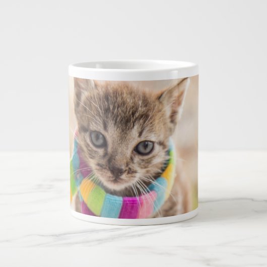 Kutest Baby Animals | Tabby Kitten Rainbow Scarf Grote Koffiekop (Voorkant)