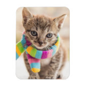 Kutest Baby Animals | Tabby Kitten Rainbow Scarf Magneet (Verticaal)