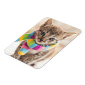 Kutest Baby Animals | Tabby Kitten Rainbow Scarf Magneet (Linkerzijde)