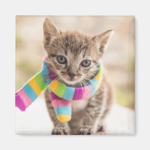Kutest Baby Animals Tabby Kitten Rainbow Scarf Magneet