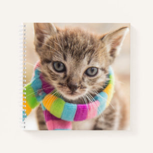 Kutest Baby Animals Tabby Kitten Rainbow Scarf Notitieboek