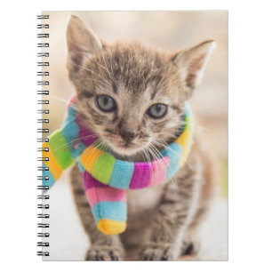 Kutest Baby Animals   Tabby Kitten Rainbow Scarf Notitieboek