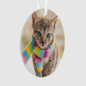 Kutest Baby Animals | Tabby Kitten Rainbow Scarf Ornament (voorkant)