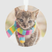 Kutest Baby Animals | Tabby Kitten Rainbow Scarf Ornament (achterkant)