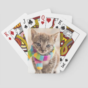 Kutest Baby Animals Tabby Kitten Rainbow Scarf Pokerkaarten