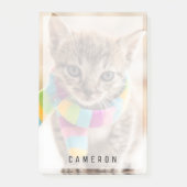 Kutest Baby Animals | Tabby Kitten Rainbow Scarf Post-it® Notes (Voorkant)
