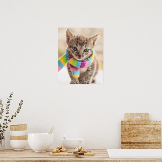 Kutest Baby Animals | Tabby Kitten Rainbow Scarf Poster (Keuken)