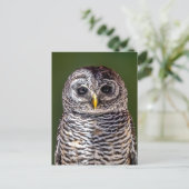 Kutest Baby Animals | Tawny Owl Briefkaart (Staand voorkant)