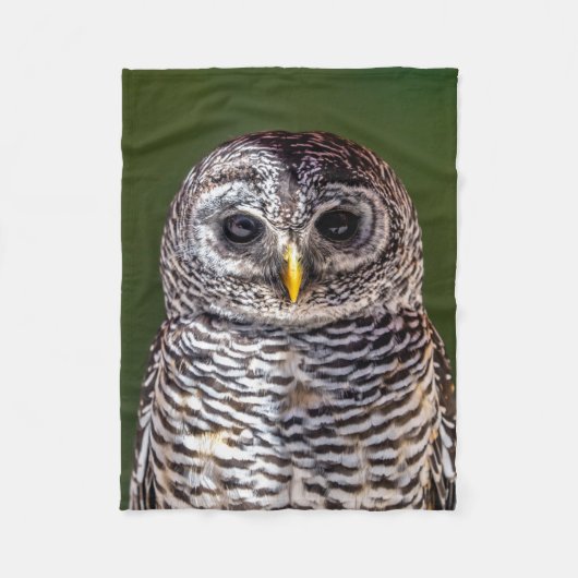 Kutest Baby Animals | Tawny Owl Fleece Deken (Voorkant)