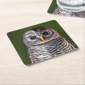 Kutest Baby Animals | Tawny Owl Kartonnen Onderzetters (Schuin)