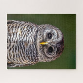 Kutest Baby Animals | Tawny Owl Legpuzzel (Horizontaal)