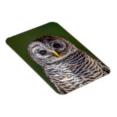 Kutest Baby Animals | Tawny Owl Magneet (Rechterzijde)