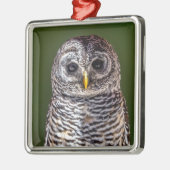 Kutest Baby Animals | Tawny Owl Metalen Ornament (Links)