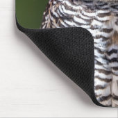 Kutest Baby Animals | Tawny Owl Muismat (Hoek)