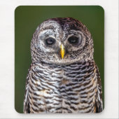 Kutest Baby Animals | Tawny Owl Muismat (Voorkant)