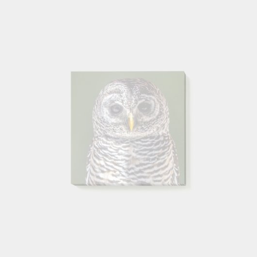 Kutest Baby Animals | Tawny Owl Post-it® Notes (Voorkant)
