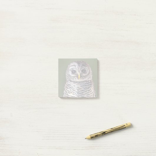 Kutest Baby Animals | Tawny Owl Post-it® Notes (Op bureau)