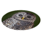Kutest Baby Animals | Tawny Owl Snijplank (Hoek)
