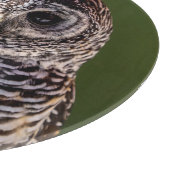 Kutest Baby Animals | Tawny Owl Snijplank (Hoek)