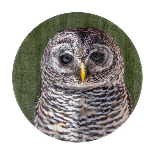 Kutest Baby Animals | Tawny Owl Snijplank (Voorkant)