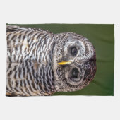 Kutest Baby Animals | Tawny Owl Theedoek (Horizontaal)