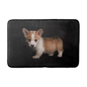 Kutest Baby Animals   Tiny Corgi Badmat