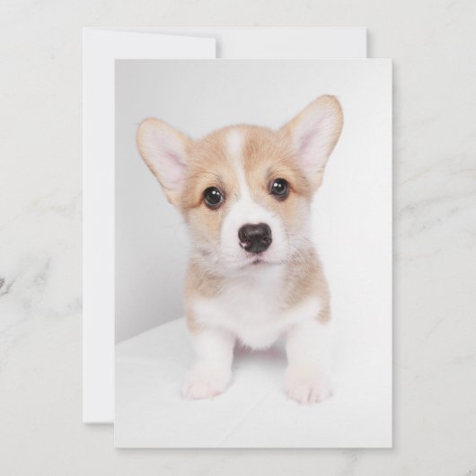 Kutest Baby Animals | Tiny Corgi Bedankkaart (Voorkant)