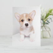 Kutest Baby Animals | Tiny Corgi Bedankkaart (Staand voorkant)