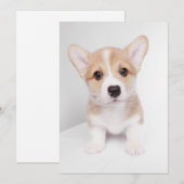Kutest Baby Animals | Tiny Corgi Bedankkaart (Voorkant / Achterkant)