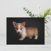 Kutest Baby Animals | Tiny Corgi Bedankkaart (Staand voorkant)