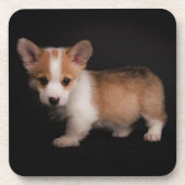 Kutest Baby Animals | Tiny Corgi Bier Onderzetter (Voorkant)