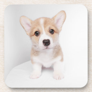Kutest Baby Animals   Tiny Corgi Bier Onderzetter