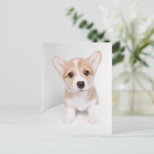 Kutest Baby Animals | Tiny Corgi Briefkaart (Staand voorkant)