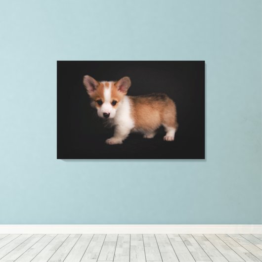 Kutest Baby Animals | Tiny Corgi Canvas Afdruk (Insitu (Houten vloer))